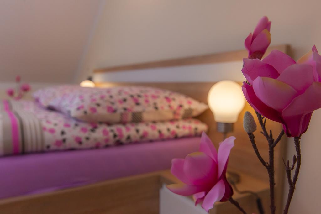 Apartamenty Galeria Jordanowska Kültér fotó